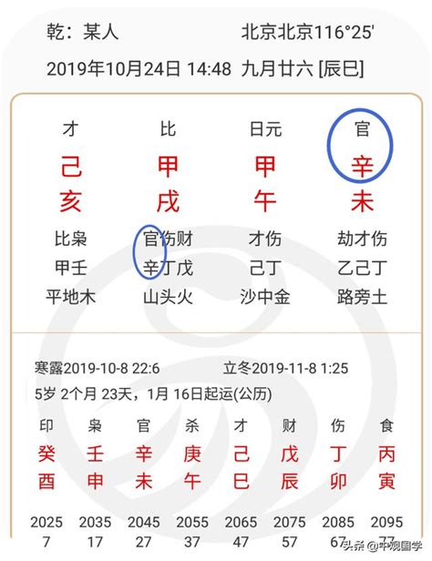 免費八字取名